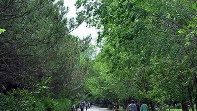 کربلا در دانشگاه