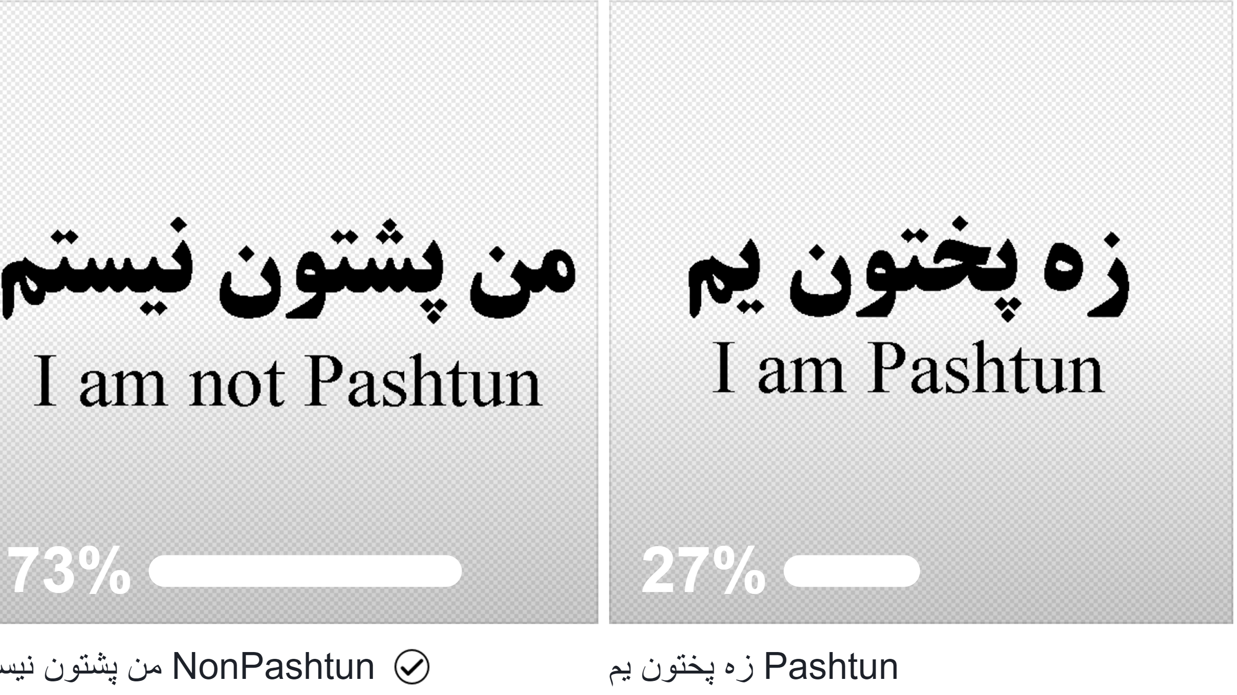 آيا پشتون ها اکثریت هستند یا این دروغی بیش نیست؟