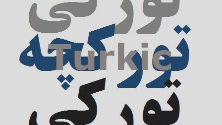 افغانستان توركچه تیلی نینگ برلین گه بولیب اوتكن كنفرانسی