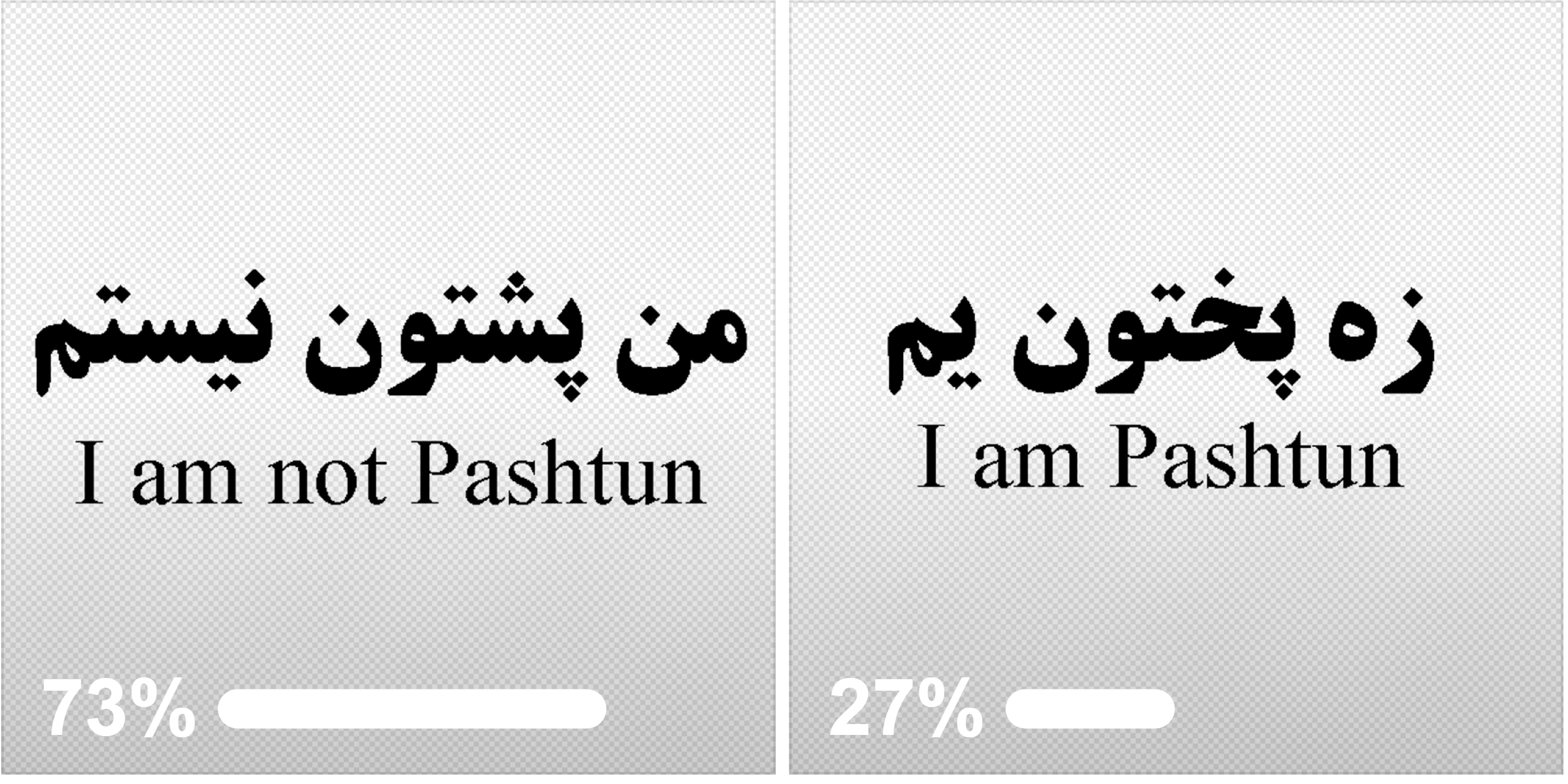 آيا پشتون ها اکثریت هستند یا این دروغی بیش نیست؟