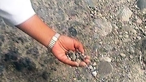 دیداری از دیار دور افتاده