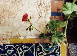وبلاگ های افغانستان