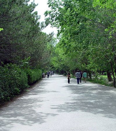 کربلا در دانشگاه