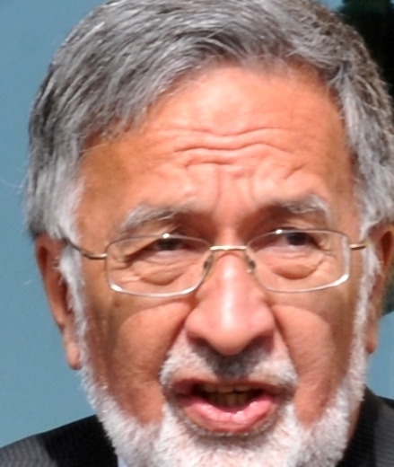 زلمی رسول، بی خطر برای کرزی، پشتون، محمدزی و خادم محمد ظاهر